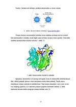 Referāts 'Gripa', 10.