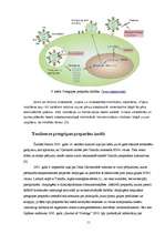 Referāts 'Gripa', 11.