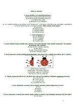 Konspekts 'Ieskaites darba lapa lietišķajā informātikā', 1.