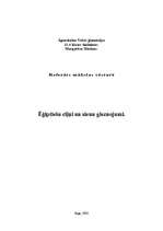 Referāts 'Ēģiptiešu ciļņi un sienu gleznojumi', 1.