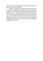 Referāts 'Ēģiptiešu ciļņi un sienu gleznojumi', 5.