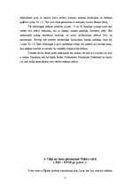 Referāts 'Ēģiptiešu ciļņi un sienu gleznojumi', 11.