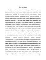 Referāts 'Enerģētiskie resursi un politiski ekonomiskie vides konflikti pasaulē', 5.