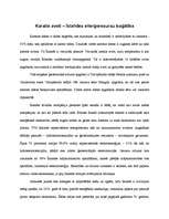 Referāts 'Enerģētiskie resursi un politiski ekonomiskie vides konflikti pasaulē', 24.