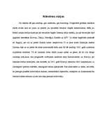 Referāts 'Enerģētiskie resursi un politiski ekonomiskie vides konflikti pasaulē', 26.