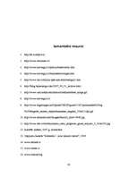 Referāts 'Enerģētiskie resursi un politiski ekonomiskie vides konflikti pasaulē', 29.