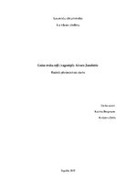 Referāts 'Gaisa trošu ceļš (vagoniņš). Aivars Janelsītis', 1.