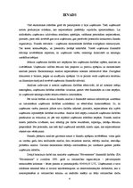 Diplomdarbs 'Uzņēmuma "Būvmeistars" finanšu analīze', 6.