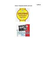 Referāts 'Maizes tirgus analīze', 2.