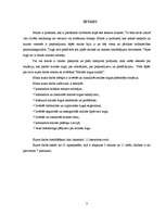 Referāts 'Maizes tirgus analīze', 8.