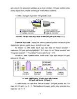 Referāts 'Maizes tirgus analīze', 14.