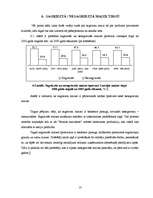 Referāts 'Maizes tirgus analīze', 18.