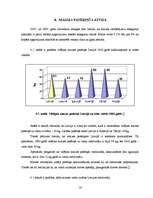 Referāts 'Maizes tirgus analīze', 21.