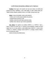 Referāts 'Maizes tirgus analīze', 24.