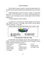 Referāts 'Maizes tirgus analīze', 25.