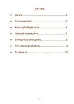 Referāts 'Pirtis', 2.