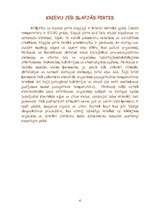 Referāts 'Pirtis', 4.