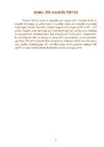 Referāts 'Pirtis', 5.