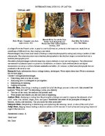 Konspekts 'Collage Research Art', 1.