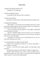 Konspekts 'Raksta analīze', 1.