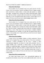 Prakses atskaite 'Prakses atskaite', 4.