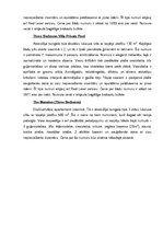 Prakses atskaite 'Prakses atskaite', 7.