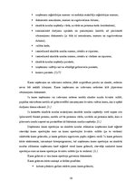 Referāts 'Apgrozāmo līdzekļu sastāvs un būtība', 19.