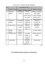 Biznesa plāns 'Viesu mājas virzīšana tirgū', 24.