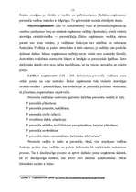 Diplomdarbs 'Personāla vadības process uzņēmumā', 15.