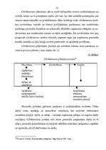 Diplomdarbs 'Personāla vadības process uzņēmumā', 20.