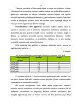 Diplomdarbs 'Personāla vadības process uzņēmumā', 21.