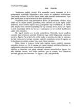 Biznesa plāns 'SIA "Mezgls"', 6.