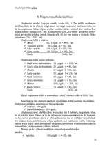 Biznesa plāns 'SIA "Mezgls"', 13.