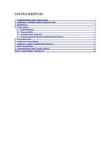 Biznesa plāns 'SIA "Mezgls"', 27.