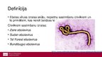 Prezentācija 'Ebolas vīrusslimība jeb Ebolas hemorāģiskais drudzis', 2.