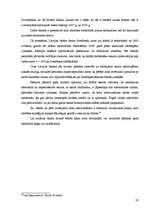 Referāts 'Darba tirgus banku nozarē', 20.