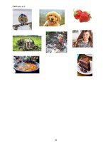 Prezentācija 'Bērna runas attīstības un valodas apguves izpēte pirmsskolas vecumā', 14.