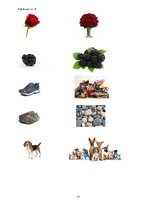 Prezentācija 'Bērna runas attīstības un valodas apguves izpēte pirmsskolas vecumā', 17.