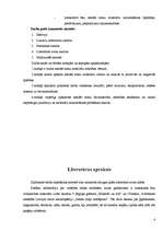 Referāts 'Nesošo sienu materiāli un to izmantošanas īpašības Latvijas celtniecības objekto', 4.