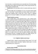 Referāts 'Nesošo sienu materiāli un to izmantošanas īpašības Latvijas celtniecības objekto', 14.