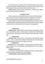 Referāts 'Nesošo sienu materiāli un to izmantošanas īpašības Latvijas celtniecības objekto', 17.