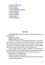 Referāts 'Nesošo sienu materiāli un to izmantošanas īpašības Latvijas celtniecības objekto', 32.