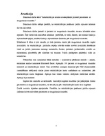 Diplomdarbs 'Agrīnas un vēlīnas rehabilitācijas nozīme atveseļošanās procesā pacientiem ar mu', 2.