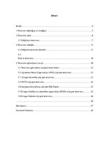 Referāts 'Terorisms un politiskā nozīmē to risināšanā', 3.