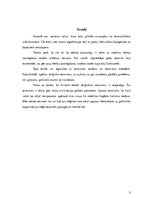 Referāts 'Terorisms un politiskā nozīmē to risināšanā', 5.