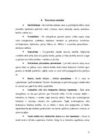 Referāts 'Terorisms un politiskā nozīmē to risināšanā', 13.