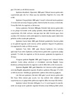 Referāts 'Terorisms un politiskā nozīmē to risināšanā', 17.