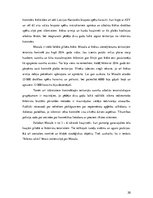 Referāts 'Terorisms un politiskā nozīmē to risināšanā', 20.