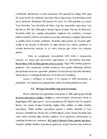 Referāts 'Terorisms un politiskā nozīmē to risināšanā', 24.