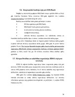 Referāts 'Terorisms un politiskā nozīmē to risināšanā', 26.